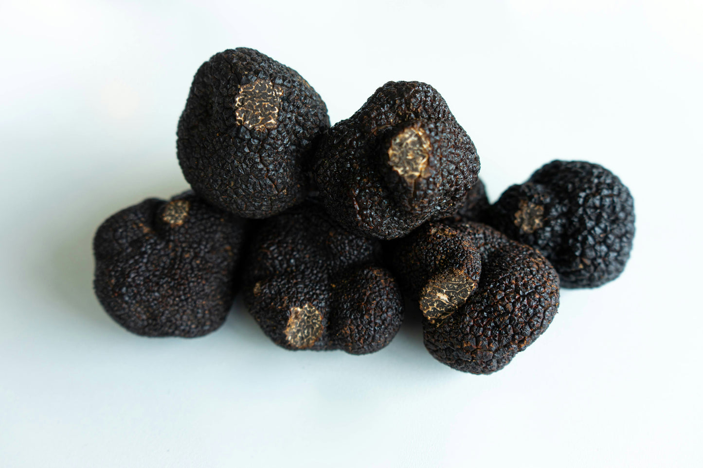 Fresh Truffle Summer