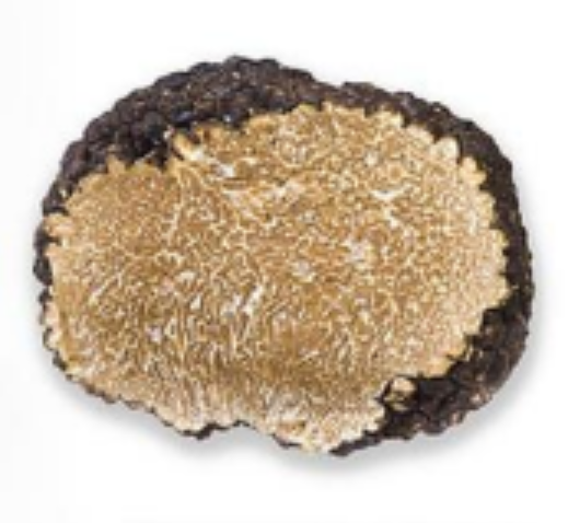 Fresh Italian Autumn Truffle (Tuber Uncinatum / Burgundy)