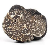 Fresh Italian Winter black truffle (Tuber Brumale Moschatum de Ferry)