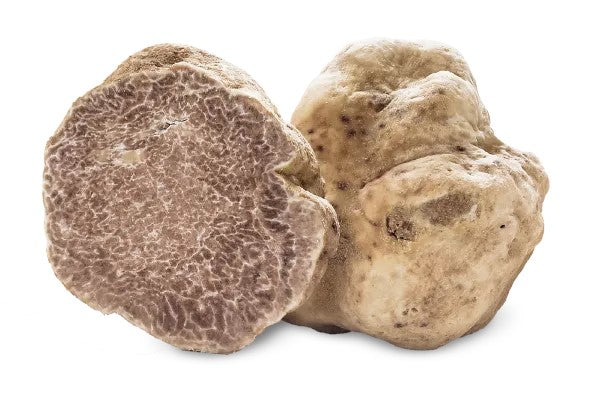 White Truffle