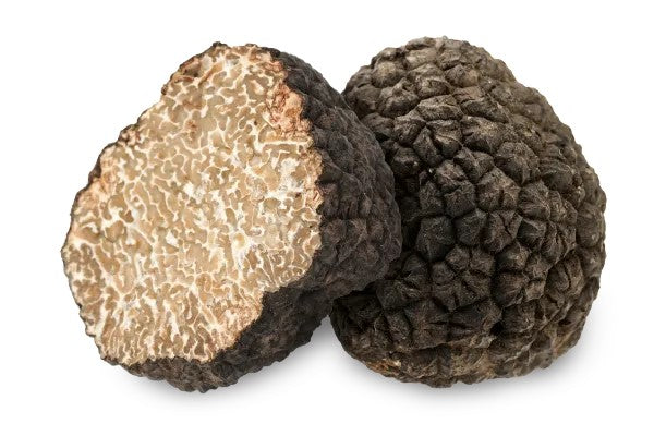 Fresh Truffle Summer
