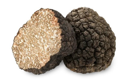 Fresh Italian summer truffle