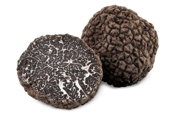 Black Winter Truffle